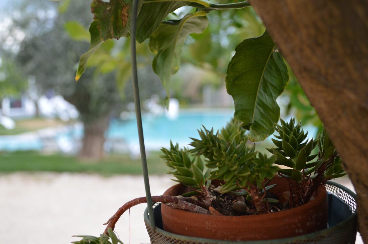 Hotel Torre Santamaria Resort Mattinata Eksteriør bilde